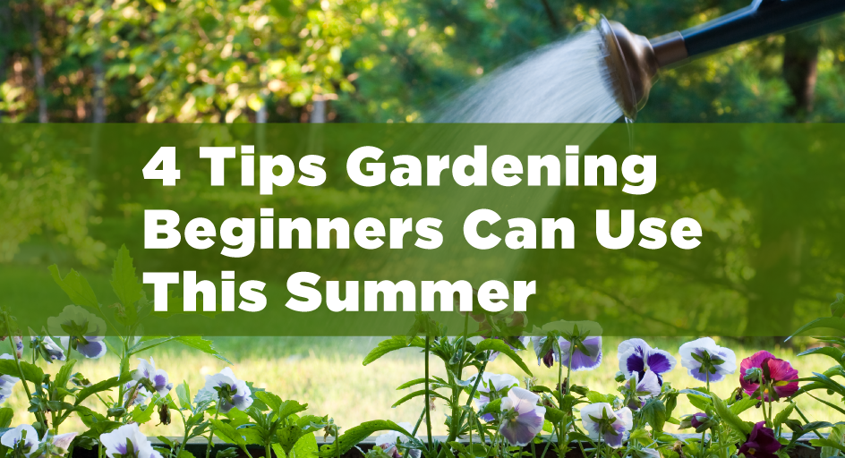 Gardening beginners can easily use these tips during the summer weather